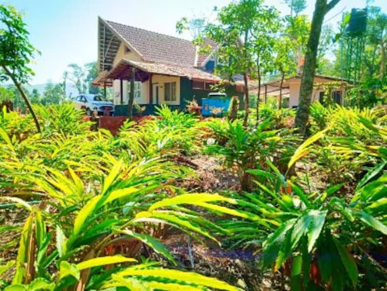 Cardamom Grove Homestay-4